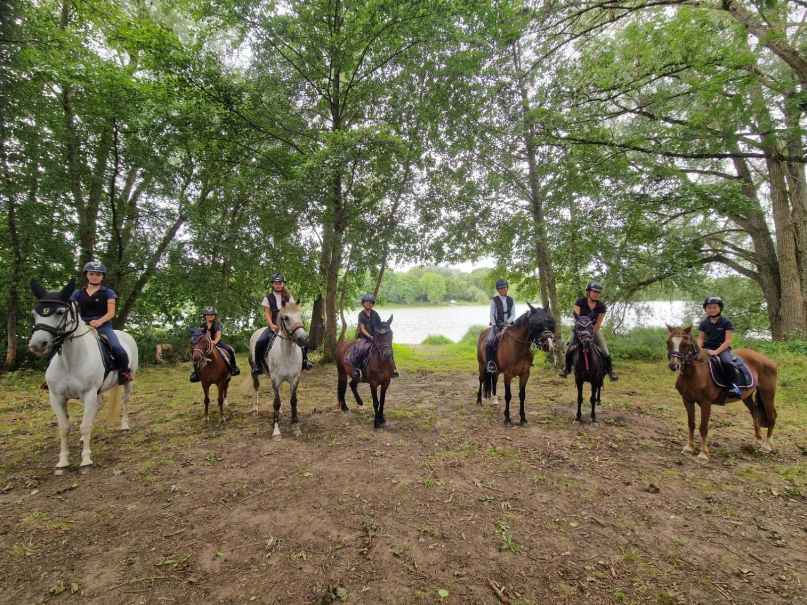 Ferme Equestre & Chambres D'Hotes Gateau Stables Proche Guedelon Saint-Amand-en-Puisaye Экстерьер фото