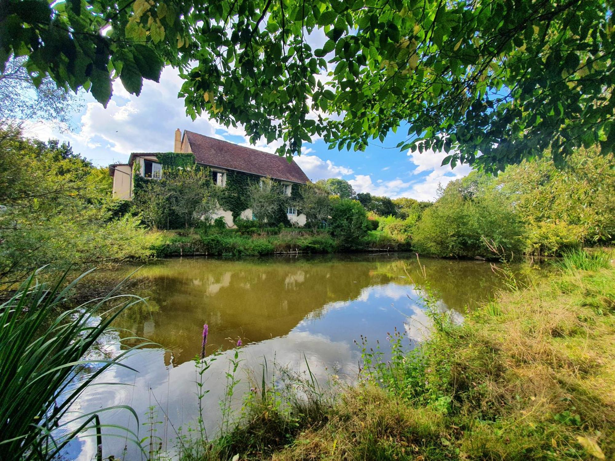 Ferme Equestre & Chambres D'Hotes Gateau Stables Proche Guedelon Saint-Amand-en-Puisaye Экстерьер фото