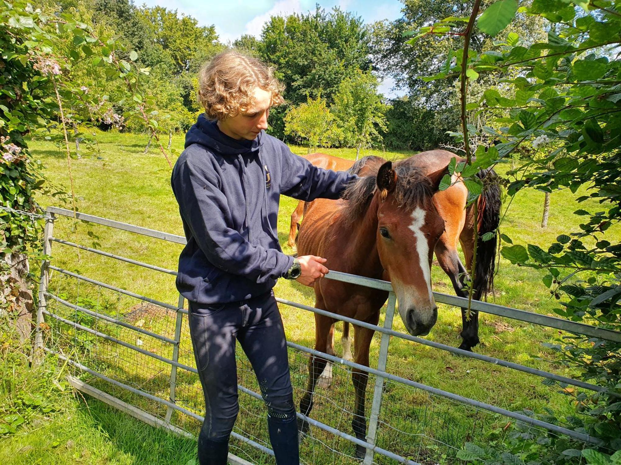 Ferme Equestre & Chambres D'Hotes Gateau Stables Proche Guedelon Saint-Amand-en-Puisaye Экстерьер фото